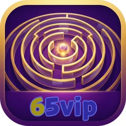 65vip